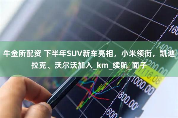 牛金所配资 下半年SUV新车亮相，小米领衔，凯迪拉克、沃尔沃加入_km_续航_面子